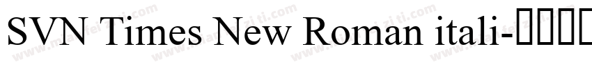 SVN Times New Roman itali字体转换